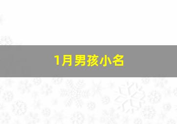 1月男孩小名