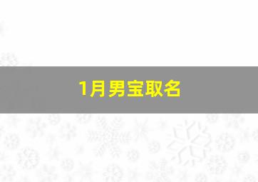 1月男宝取名