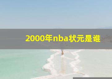 2000年nba状元是谁