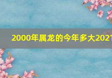 2000年属龙的今年多大2021