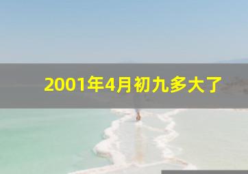 2001年4月初九多大了