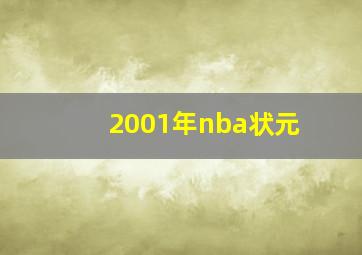 2001年nba状元