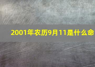 2001年农历9月11是什么命