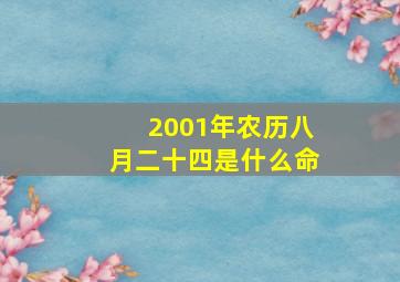 2001年农历八月二十四是什么命