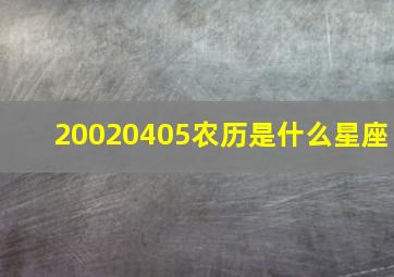 20020405农历是什么星座