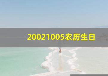 20021005农历生日