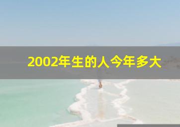 2002年生的人今年多大