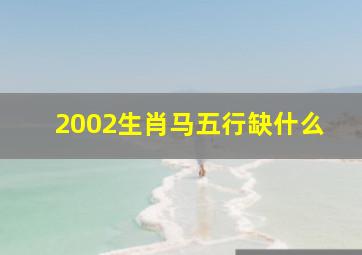 2002生肖马五行缺什么