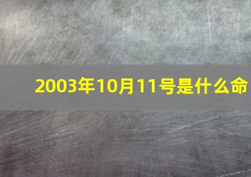 2003年10月11号是什么命