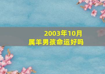 2003年10月属羊男孩命运好吗