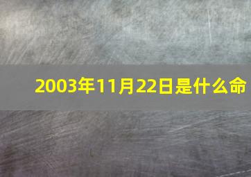 2003年11月22日是什么命