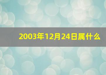 2003年12月24日属什么