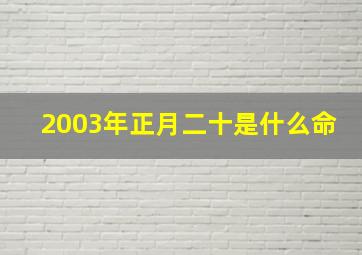 2003年正月二十是什么命