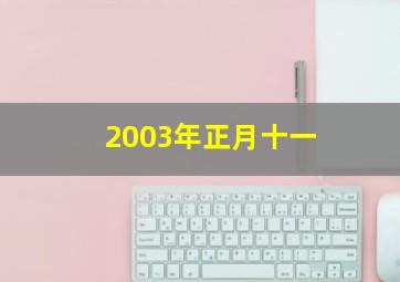 2003年正月十一