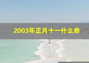 2003年正月十一什么命