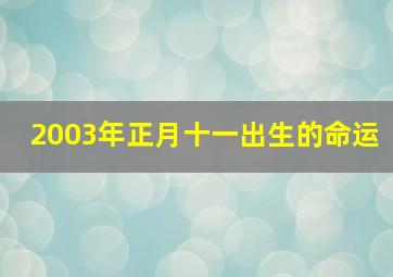 2003年正月十一出生的命运