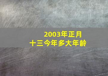 2003年正月十三今年多大年龄