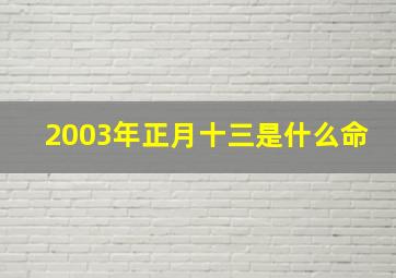 2003年正月十三是什么命