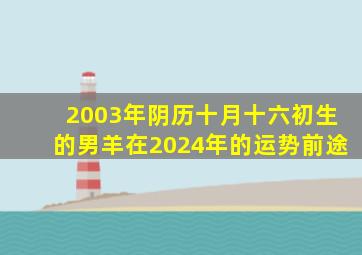 2003年阴历十月十六初生的男羊在2024年的运势前途