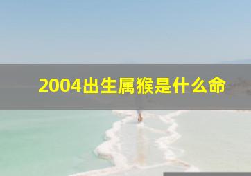 2004出生属猴是什么命