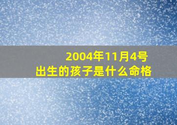 2004年11月4号出生的孩子是什么命格