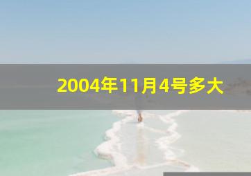 2004年11月4号多大