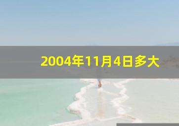 2004年11月4日多大