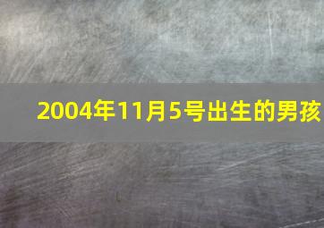 2004年11月5号出生的男孩