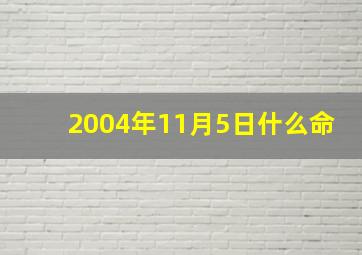 2004年11月5日什么命