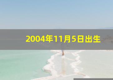 2004年11月5日出生