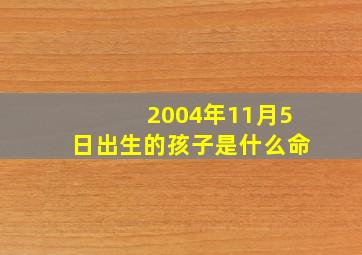 2004年11月5日出生的孩子是什么命