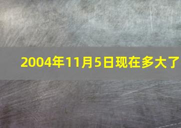 2004年11月5日现在多大了