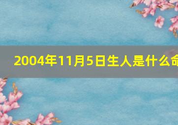 2004年11月5日生人是什么命