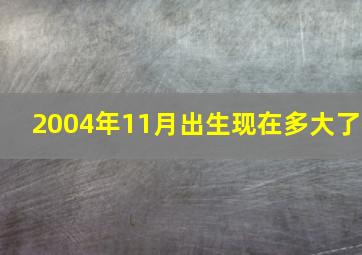 2004年11月出生现在多大了