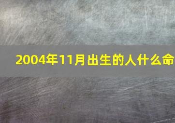 2004年11月出生的人什么命