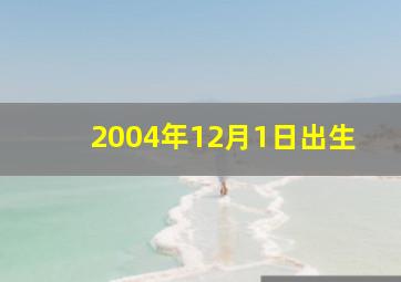 2004年12月1日出生