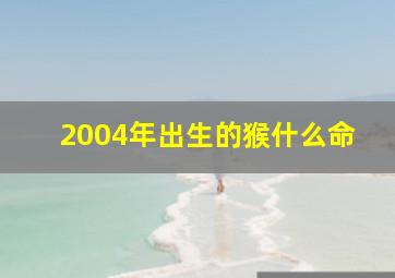 2004年出生的猴什么命