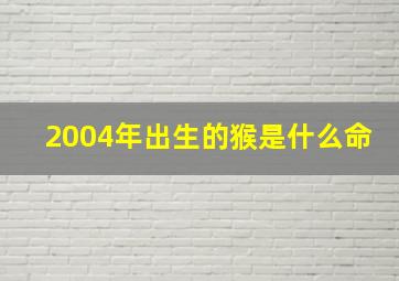 2004年出生的猴是什么命