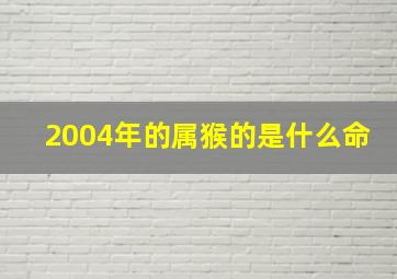 2004年的属猴的是什么命