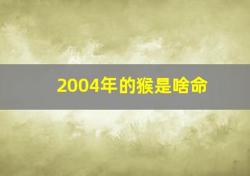 2004年的猴是啥命