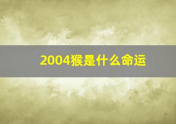 2004猴是什么命运