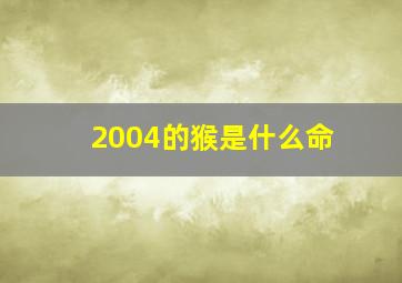 2004的猴是什么命