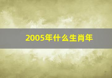 2005年什么生肖年