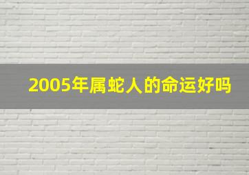 2005年属蛇人的命运好吗