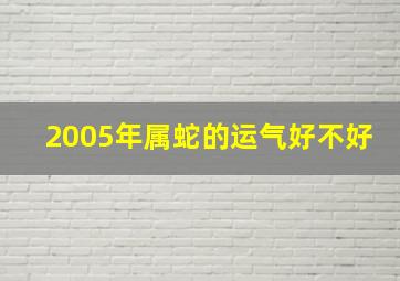 2005年属蛇的运气好不好