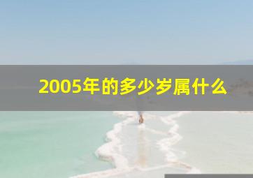 2005年的多少岁属什么