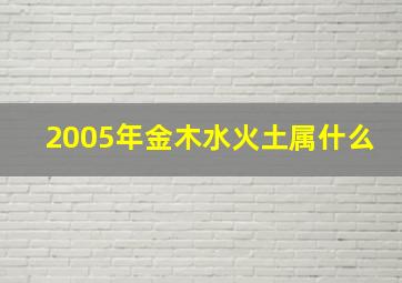 2005年金木水火土属什么