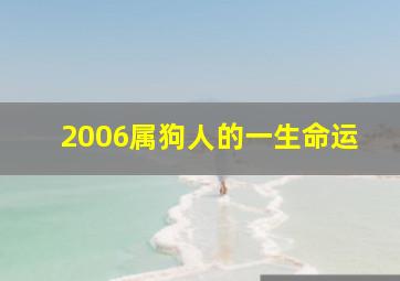 2006属狗人的一生命运