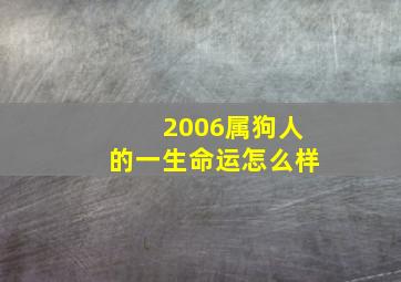 2006属狗人的一生命运怎么样