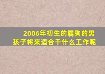 2006年初生的属狗的男孩子将来适合干什么工作呢